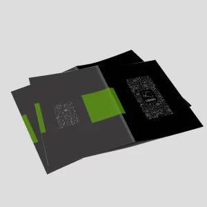 Carpeta corporativa Lienzo.cl